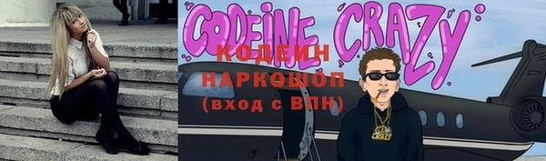 прущие крисы Бородино