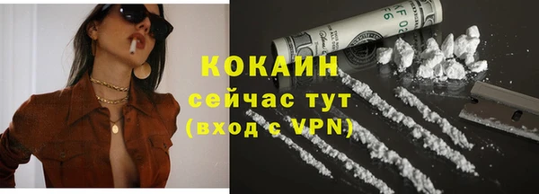 прущие крисы Бородино