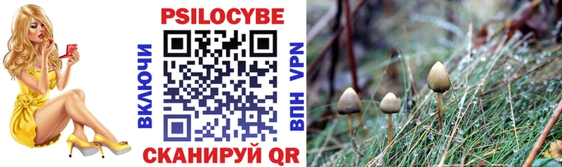 Галлюциногенные грибы Magic Shrooms  Буй 